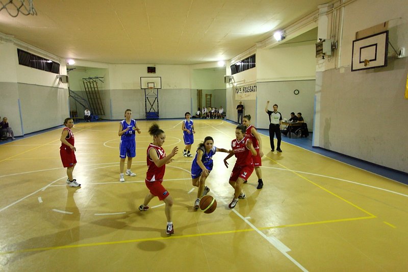 Basket 443074